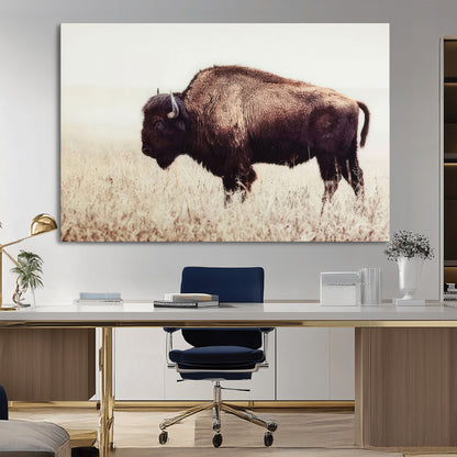 48406-MGV-CV-36X24-American Bison Wall Art – Rustic Buffalo Canvas Print in Prairie Field, Western Wildlife Photography Decor for Cabin, Lodge,