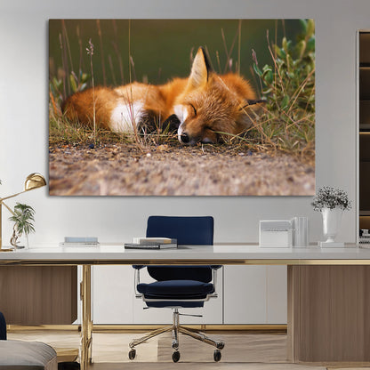 25085-MGV-CV-36X24-Sleeping Fox Wall Art Canvas Print, Framed Rustic Fox Art Picture Print, Wildlife Animal Perfect Rustic Farmhouse Decor Artwork