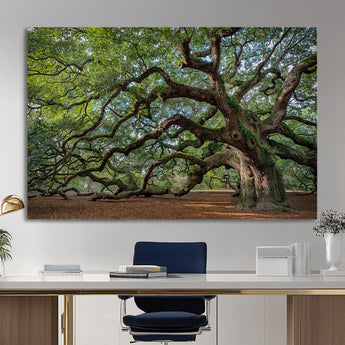 MGV-CV-36X24 - Historic Tree Wall Art Canvas Print, Framed Mossy Tree Art Picture Print, Twisted Branches Perfect Nature Southern Decor Artwork