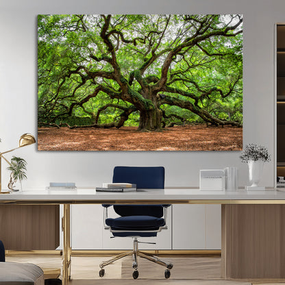 51255351-MGV-CV-36X24-Ancient Tree Wall Art – Majestic Oak Canvas Print, Large Nature Photography, Sacred Forest Landscape Wall Décor, Wisdom Tree