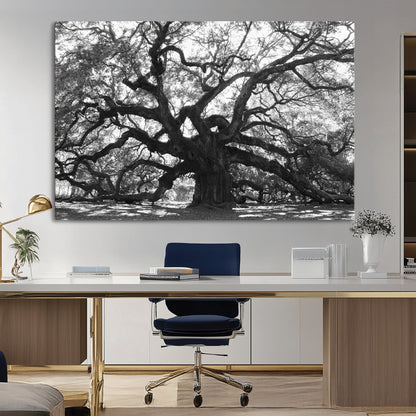 81655611-MGV-CV-36X24-Ancient Oak Wall Art Canvas Print, Framed Twisted Branches Art Picture Print, Gnarled Tree Perfect Moody Nature Decor Artwork