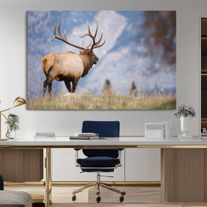 26365841-MGV-CV-36X24-Mountain Elk Art Wall Art Canvas Print, Framed Rustic Wildlife Print Art Picture Print, Lodge Style Decor Perfect Rustic Lodge