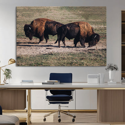 58141885-MGV-CV-36X24-Bison Photography Wall Art Canvas Print, Framed Western Wildlife Art Picture Print, Modern Ranch Perfect Western Rustic Decor