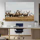 42170220-MGV-CV-36X24-Elk Herd Wall Art Canvas Print, Framed Wildlife Photography Art Picture Print, Majestic Antlers Perfect Rustic Wildlife Decor