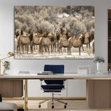 93076148-MGV-CV-36X24-Elk Herd Wall Art – Wildlife Canvas Print of Elk in Winter Landscape, Rustic Western Cabin & Lodge Décor, Nature Photography for