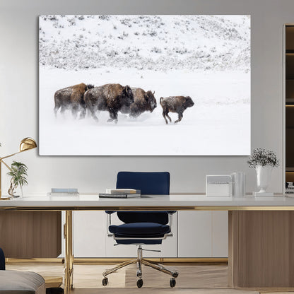 61161423-MGV-CV-36X24-Running Bison Herd Wall Art – Winter Buffalo Canvas Print, Wildlife Photography Decor for Rustic Living Room, Farmhouse, Lodge,