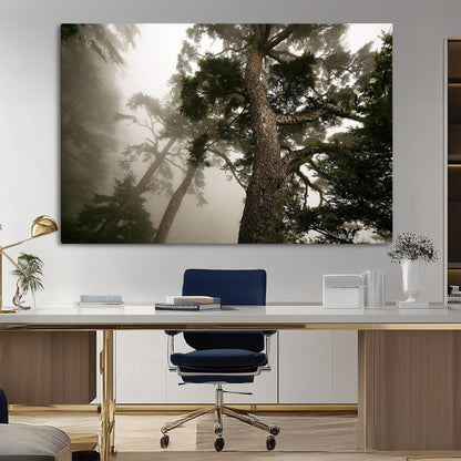 87969493-MGV-CV-36X24-Forest Wall Art – Misty Tall Trees Canvas Print, Dramatic Woodland Photography Decor for Bedroom, Living Room, Office, Cabin,