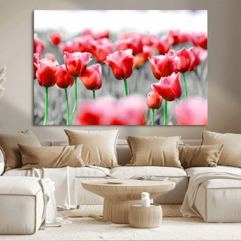 44554-MGV-CV-36X24-Vibrant red tulips stand out beautifully against a black-and-white background, making a striking decor piece perfect for any home