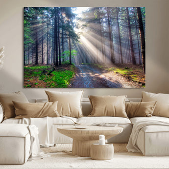 42047-MGV-CV-36X24-Sunlit Forest Path Wall Art – Nature Canvas Print, Serene Woodland Landscape, Perfect Home & Office Decor for Calm and Tranquil