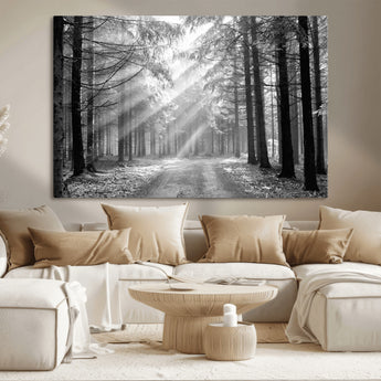 39665-MGV-CV-36X24-Black and White Forest Path Wall Art – Sunlight Rays in Trees Canvas Print, Nature Landscape Decor for Living Room or Office