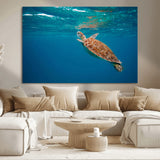 91440-MGV-CV-36X24-Sea Turtle Wall Art – Ocean Turtle Canvas Print, Underwater Marine Life Decor for Living Room, Office, Beach House or Bathroom