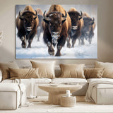 80512-MGV-CV-36X24-Bison Herd Wall Art – Buffalo Running in Snow Canvas Print, Rustic Wildlife Photography Decor for Cabin, Lodge, or Living Room