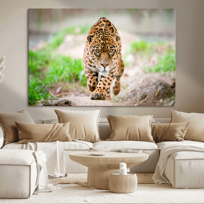 75066-MGV-CV-36X24-Leopard Wall Art Canvas Print, Framed Wild Animal Art Picture Print, Blue Eye Leopard Perfect Wild Minimal Decor Artwork
