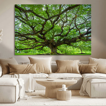 49375306-MGV-CV-36X24-Ancient Tree Wall Art Canvas Print, Framed Sprawling Branches Art Picture Print, Gnarling Tree Perfect Earthy Natural Decor