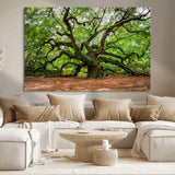 51255351-MGV-CV-36X24-Ancient Tree Wall Art – Majestic Oak Canvas Print, Large Nature Photography, Sacred Forest Landscape Wall Décor, Wisdom Tree