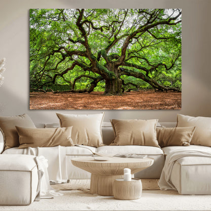 51255351-MGV-CV-36X24-Ancient Tree Wall Art – Majestic Oak Canvas Print, Large Nature Photography, Sacred Forest Landscape Wall Décor, Wisdom Tree