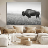28435251-MGV-CV-36X24-Bison In Prairie Wall Art Canvas Print, Framed Rustic Wildlife Art Picture Print, Wild Buffalo Perfect Rustic Western Decor