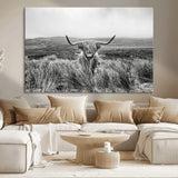 24051061-MGV-CV-36X24-Monochrome Highland Cow Wall Art Canvas Print, Framed Scottish Bull Art Picture Print, Lone Cattle Perfect Rustic Farmhouse Decor