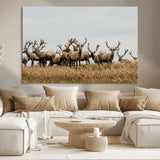 42170220-MGV-CV-36X24-Elk Herd Wall Art Canvas Print, Framed Wildlife Photography Art Picture Print, Majestic Antlers Perfect Rustic Wildlife Decor