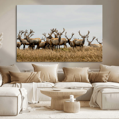 42170220-MGV-CV-36X24-Elk Herd Wall Art Canvas Print, Framed Wildlife Photography Art Picture Print, Majestic Antlers Perfect Rustic Wildlife Decor