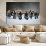 30332489-MGV-CV-36X24-Winter Bison Herd Wall Art – Powerful Buffalo Canvas Print, Rustic Wildlife Photography Decor for Farmhouse, Cabin, Lodge, Living