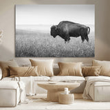 90861202-MGV-CV-36X24-Black and White Bison Canvas Wall Art – Rustic American Buffalo Print, Western Wildlife Photography for Farmhouse, Cabin, Office
