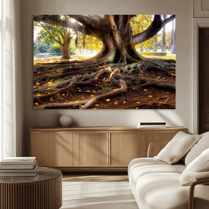 53335-MGV-CV-36X24-Majestic Tree with Sprawling Roots Wall Art – Serene Sunlit Park Scene, Nature Canvas Print, Perfect for Living Room, Office or