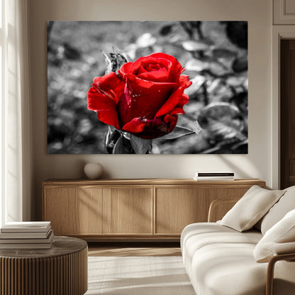 84671-MGV-CV-36X24-Red Rose Wall Art – Vibrant Single Bloom Canvas Print with Black and White Background, Elegant Floral Decor for Living Room,