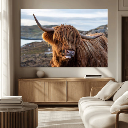 71222-MGV-CV-36X24-A playful Highland cow with shaggy fur sticks out its tongue, set against a rugged landscape — perfect for quirky home or office