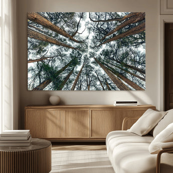 18790-MGV-CV-36X24-Pine Canopy Wall Art – Panoramic View of Towering Pines Canvas Print, Nature-Inspired Decor for Office, Cabin or Living Room