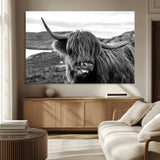 83810-MGV-CV-36X24-Highland Cow Wall Art – Black and White Highland Cattle Print, Rustic Farmhouse Animal Decor for Living Room or Office