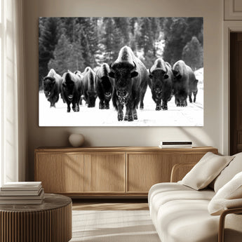 62434-MGV-CV-36X24-Bison Herd Wall Art – Majestic Black and White Buffalo Canvas Print, Wildlife Nature Photography Decor for Living Room, Office or