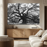 81655611-MGV-CV-36X24-Ancient Oak Wall Art Canvas Print, Framed Twisted Branches Art Picture Print, Gnarled Tree Perfect Moody Nature Decor Artwork