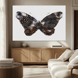 99831147-MGV-CV-36X24-Spotted Butterfly Wall Art Canvas Print, Framed Neutral Insect Theme Art Picture Print, Earthy Wing Pattern Perfect Modern Rustic
