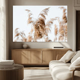 17019393-MGV-CV-36X24-Pampas Grass Wall Art Canvas Print, Framed Neutral Tones Art Picture Print, Minimalist Nature Perfect Boho Minimalist Decor