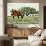 91866234-MGV-CV-36X24-Texas Longhorn Wall Art Canvas Print, Framed Rustic Ranch Art Picture Print, Western Cattle Perfect Rustic Farmhouse Decor Artwork