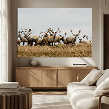 42170220-MGV-CV-36X24-Elk Herd Wall Art Canvas Print, Framed Wildlife Photography Art Picture Print, Majestic Antlers Perfect Rustic Wildlife Decor