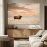 20306324-MGV-CV-36X24-Bison Wall Art – Lone American Buffalo Prairie Sunset Canvas Print, Rustic Western Wildlife Photography Decor for Living Room,