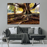 53335-MGV-CV-36X24-Majestic Tree with Sprawling Roots Wall Art – Serene Sunlit Park Scene, Nature Canvas Print, Perfect for Living Room, Office or