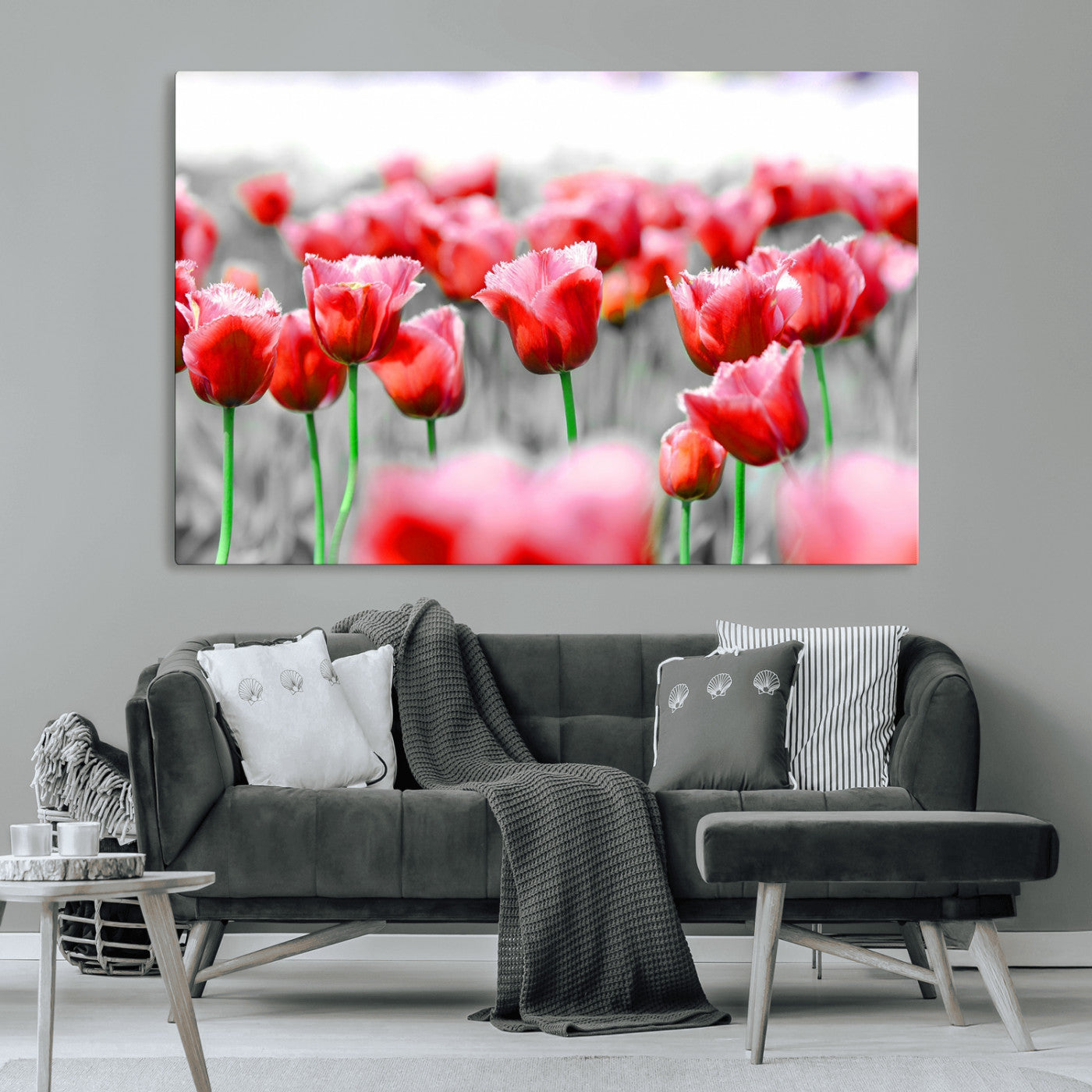 44554-MGV-CV-36X24-Vibrant red tulips stand out beautifully against a black-and-white background, making a striking decor piece perfect for any home