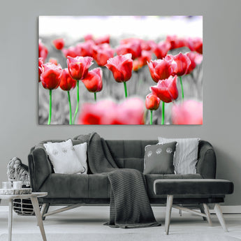 44554-MGV-CV-36X24-Vibrant red tulips stand out beautifully against a black-and-white background, making a striking decor piece perfect for any home