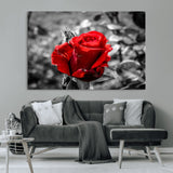 84671-MGV-CV-36X24-Red Rose Wall Art – Vibrant Single Bloom Canvas Print with Black and White Background, Elegant Floral Decor for Living Room,
