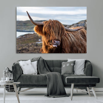 71222-MGV-CV-36X24-A playful Highland cow with shaggy fur sticks out its tongue, set against a rugged landscape — perfect for quirky home or office