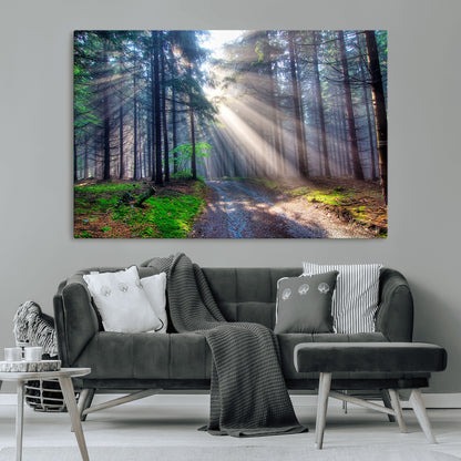42047-MGV-CV-36X24-Sunlit Forest Path Wall Art – Nature Canvas Print, Serene Woodland Landscape, Perfect Home & Office Decor for Calm and Tranquil