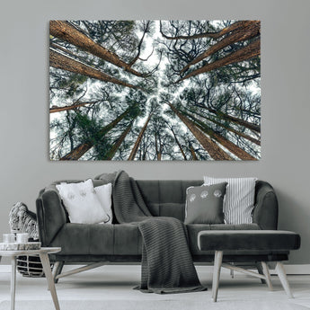 18790-MGV-CV-36X24-Pine Canopy Wall Art – Panoramic View of Towering Pines Canvas Print, Nature-Inspired Decor for Office, Cabin or Living Room