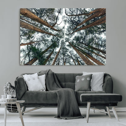 18790-MGV-CV-36X24-Pine Canopy Wall Art – Panoramic View of Towering Pines Canvas Print, Nature-Inspired Decor for Office, Cabin or Living Room
