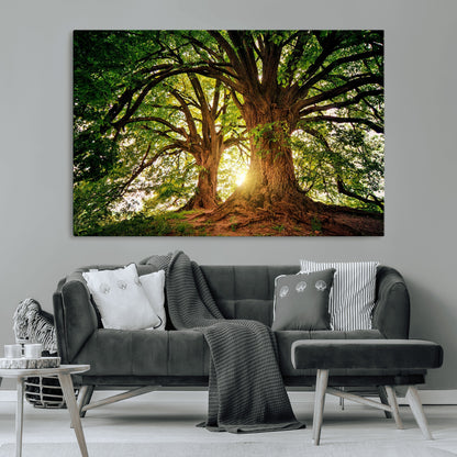 52150-MGV-CV-36X24-Majestic Tree Wall Art – Large Nature Canvas Print with Sunlight Through Branches, Rustic Forest Decor for Living Room, Bedroom or