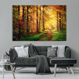 73494-MGV-CV-36X24-Golden Autumn Forest Path Wall Art – Sunlit Woodland Canvas Print, Fall Nature Landscape Home Decoration
