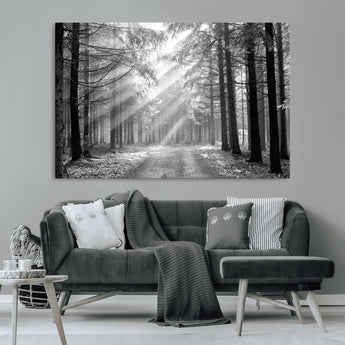 39665-MGV-CV-36X24-Black and White Forest Path Wall Art – Sunlight Rays in Trees Canvas Print, Nature Landscape Decor for Living Room