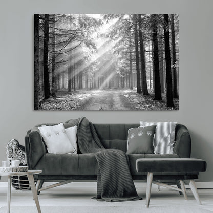 39665-MGV-CV-36X24-Black and White Forest Path Wall Art – Sunlight Rays in Trees Canvas Print, Nature Landscape Decor for Living Room